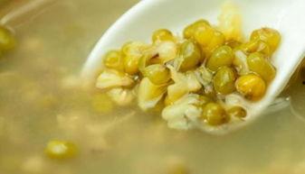 京瓜和绿豆能一起吃吗,探究能否同食的健康之谜”