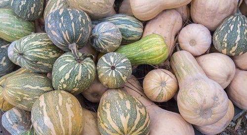 今日宜吃瓜起点,今日宜吃瓜，盘点明星幕后故事