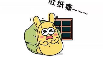 吃瓜群众穿着,揭秘街头潮流与瓜界风采