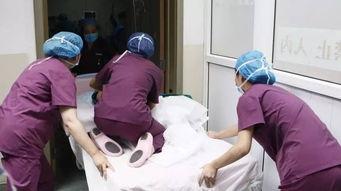 产房护士吃瓜,见证生命奇迹的温馨瞬间