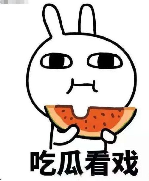 颓崽吃瓜,揭秘娱乐圈幕后故事